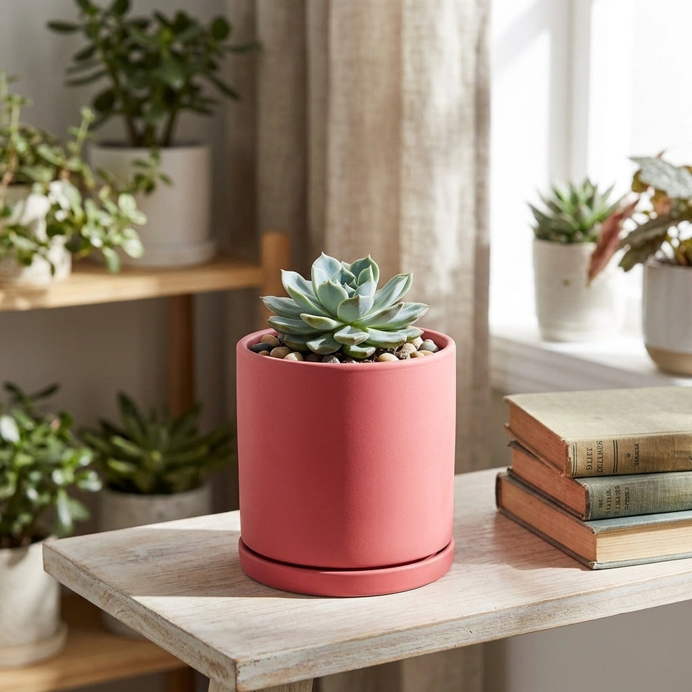 Nordic Industrial Style Colorful Ceramic Flowerpot Succulent Planter Green Plants Cylindrical Shape Flower Pot With Hole Tray — Red-9X9X9 in a home setting; styling props not included. [fastbatch-40]