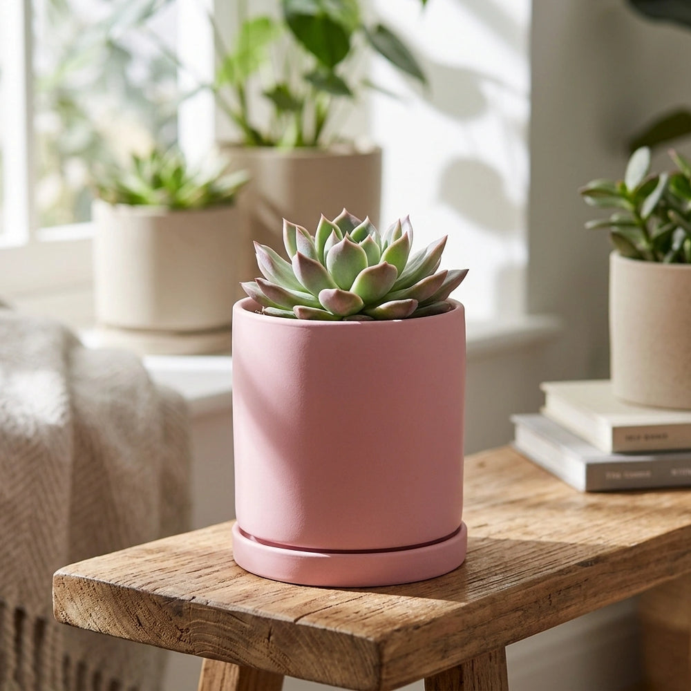 Nordic Industrial Style Colorful Ceramic Flowerpot Succulent Planter Green Plants Cylindrical Shape Flower Pot With Hole Tray — Pink-20x20x20 in a home setting; styling props not included. [fastbatch-71]